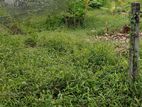 Land For Sale කුරුණෑගල