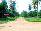 Land for Sale කුරුණෑගල වීරඹුගෙදර