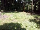 Land for Sale – Kuruwita, Pussella