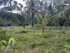Land for sale-Kuswala