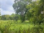 Land for Sale - කවරක්කුලම , අනුරාධපුර