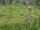 Land for Sale / Lease in Katunayake - Amandoluwa