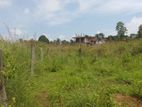 Land for Sale located in Karawaketiye Estate , Galwala Road, Balangoda