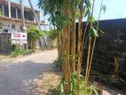 Land for Sale- Location - Biyagama (walking Distance to B,o,i)
