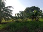 Land for Sale Madurankuliya