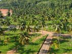 Land for Sale මැල්සිරිපුර