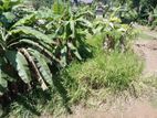 Land for Sale – Magandanamulla, Monaragala ANU026L