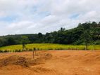 Land for Sale Maggona (මග්ගොන)