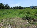 Land for Sale - Maharagama