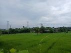 Land for Sale Maharagama