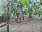 Land For Sale - Maharagama