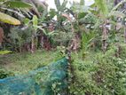 Land for Sale Maharagama