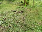 Land for Sale - Maharagama