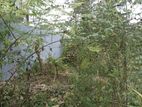 Land for Sale Maharagama