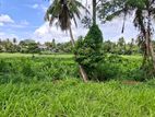 Land for sale Maharagama pannipitiya