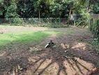 land for Sale Maharagama Town