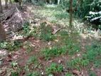 Land for Sale Mahawaththa