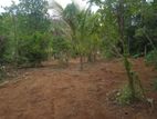 Land for Sale – Mahena, Meegahawatta