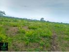Land For Sale Mahragama Navina (Dsp 987 )