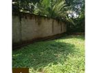 Land For Sale Main Road Facing Dehiwala Belanvila Dsp( 909 )
