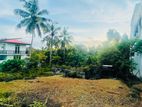 Land for Sale (Makola)