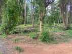 Land for Sale - Makullagahawaththa