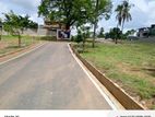 Land for sale malaba talahena