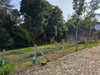 Land for Sale – Malabe | Beautiful Paddy Field View