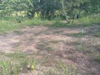 Land for Sale Malabe