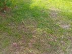 Land for Sale Malabe