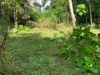 Land for Sale Malabe (NZMS3040)