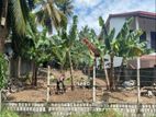 Land for sale Malabe | Thalahena