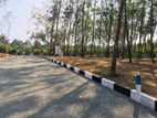 land for sale malamulla