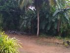 Land For Sale Malimbada