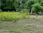 Land for Sale Manippai