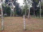 Land for Sale Marawila