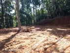 Land for Sale Matale