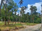 Land for Sale Matale( A9 Road )
