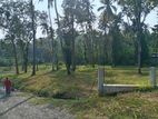 Land For Sale Matale A9 Road Nalanda