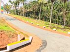 Land for Sale Matale
