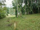 Land for Sale Matale