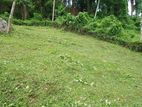 Land for Sale Matale