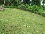 Land for Sale Matale