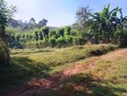 Land for Sale Matale