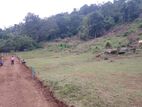 Land for sale Matale