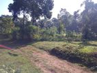 Land for sale Matale