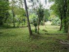 Land for sale Matale