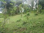 Land for sale Matale