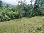 Land for sale Matale