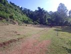 Land for sale Matale